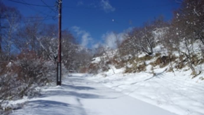 八ヶ岳 天狗尾根~ツルネ東稜下降