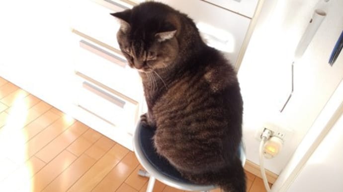 何となく?