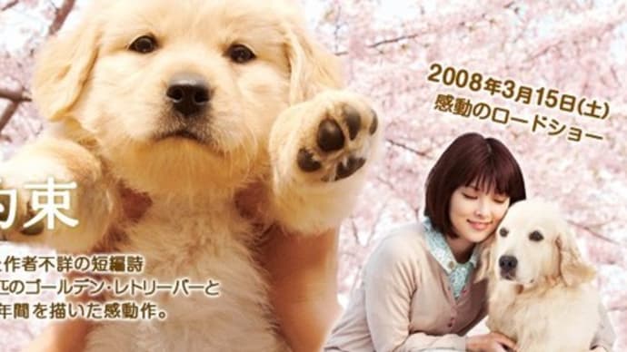 犬と私の10の約束