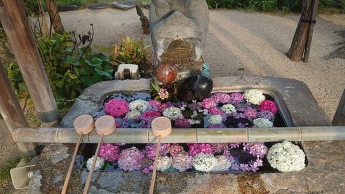 藤田神社の花手水～2025年6月20日