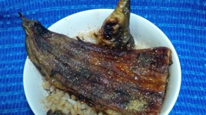 三重県産蒲焼鰻丼が昨日の昼食、尾頭付ね:P
