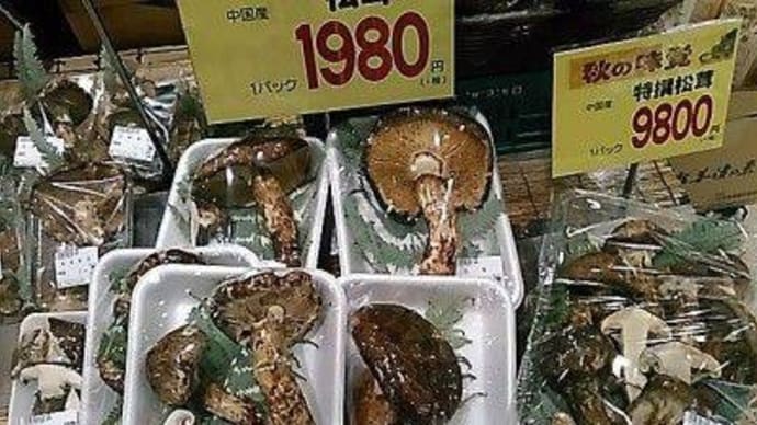 京の松茸 は牛や馬も食わないほど豊作だった。嵯峨天皇 の「旨い!」の一言で 松茸 の大ブームになった