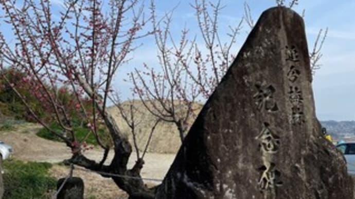 矢田丘陵から法隆寺