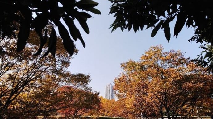 紅葉は 都会の街にも やってきて