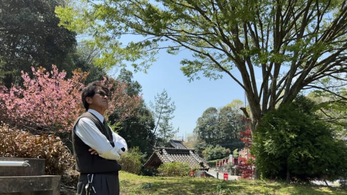 八重桜が見頃 まるで紙で織ったような 花びらにやさしさが…