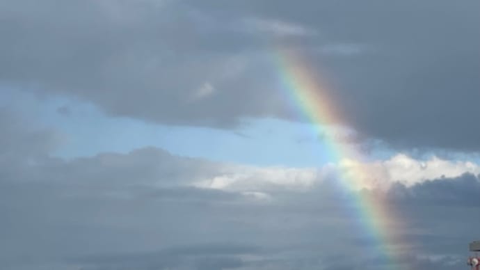 今日も虹が