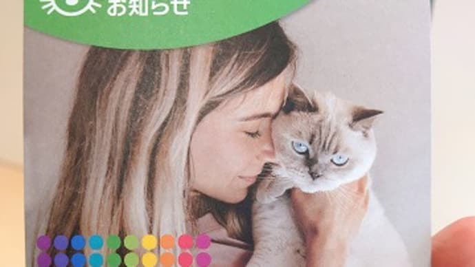 初体験がいっぱい!