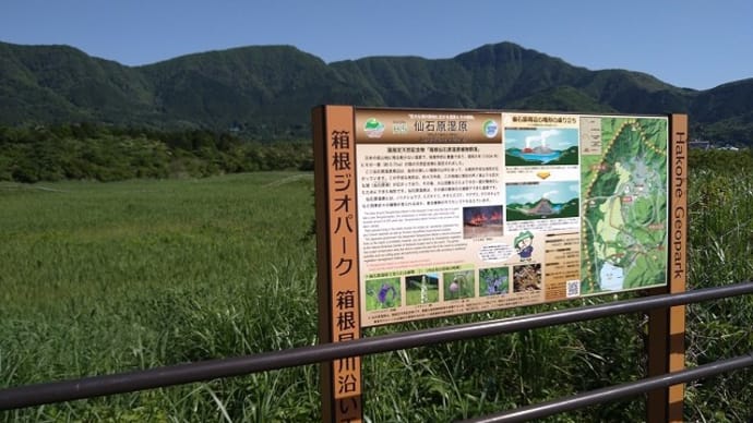 箱根旅行 2022 仙石原から彫刻の森へ