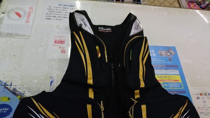 新しいベストが来た
