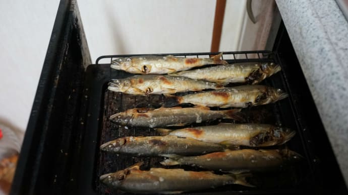 晩ご飯は鮎の塩焼き