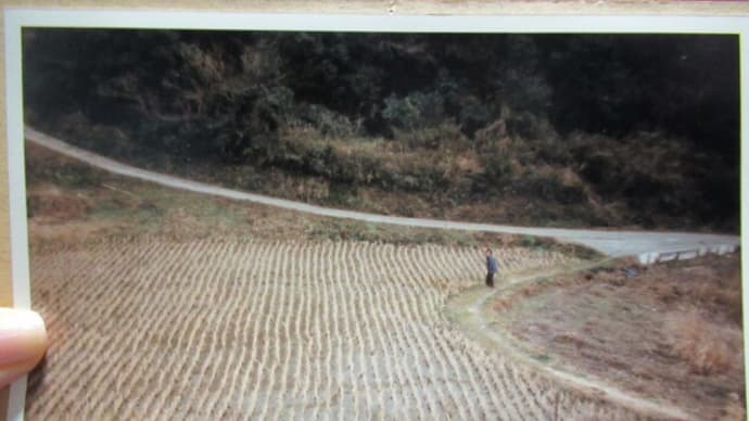 三浦半島 北下浦地区、わたしが撮った昔の写真 ★ 「YRPができる前」その③ 祝!完結編