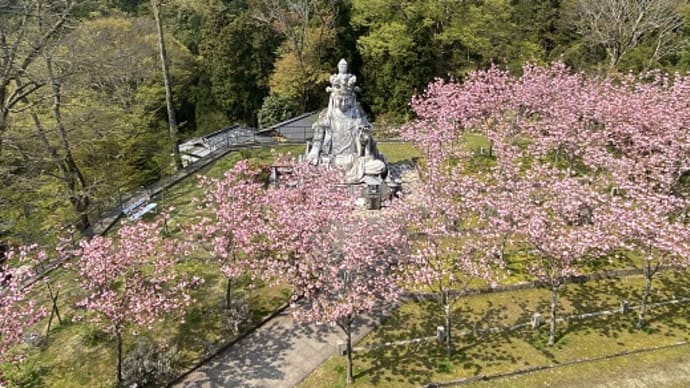 眼病封じのお寺「壷阪寺」へ