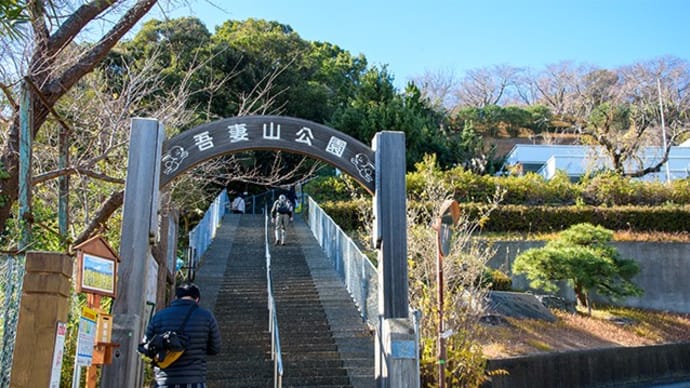 お正月の吾妻山公園!!