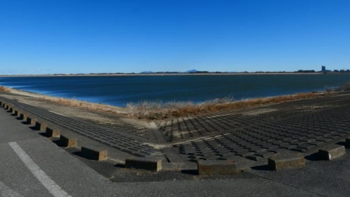 渡良瀬遊水池と3県境