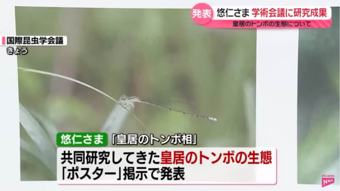 ”雑音”で良いと思っているのか・・『女性自身』