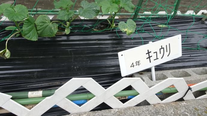 ぐんぐん成長しています!
