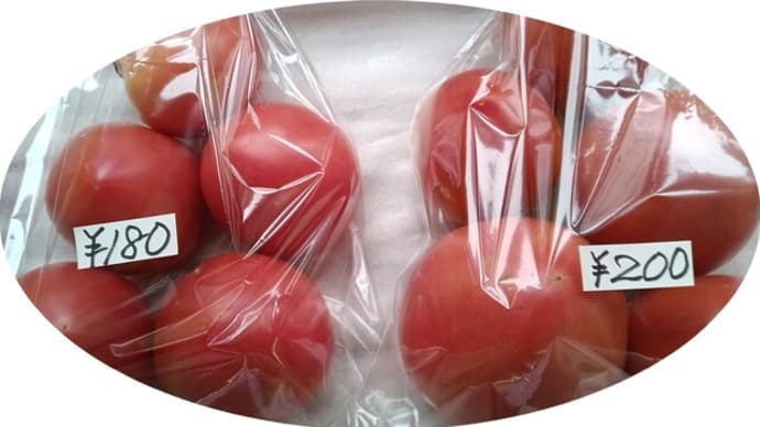 地場産トマト<りんか409>~入荷しました。(3-3)