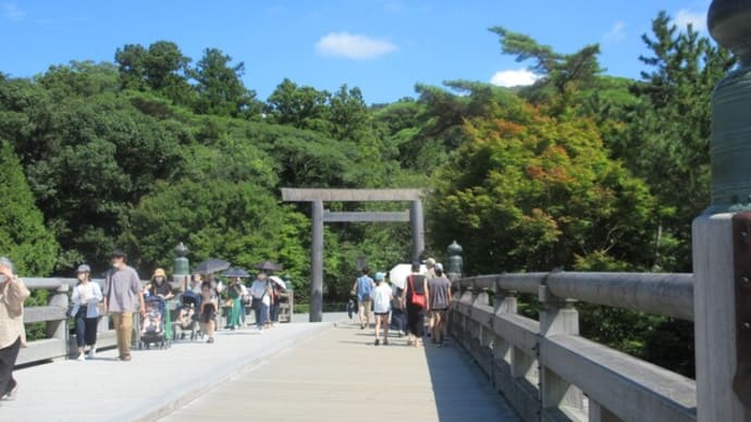 弾丸な日々でした~