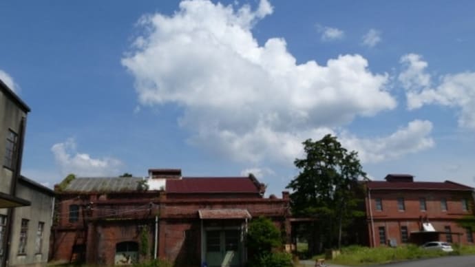 遠州の旅 川越人足・蓬莱橋・バラの丘公園・川根温泉