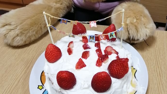 1月13日(木) りんの誕生日🎂
