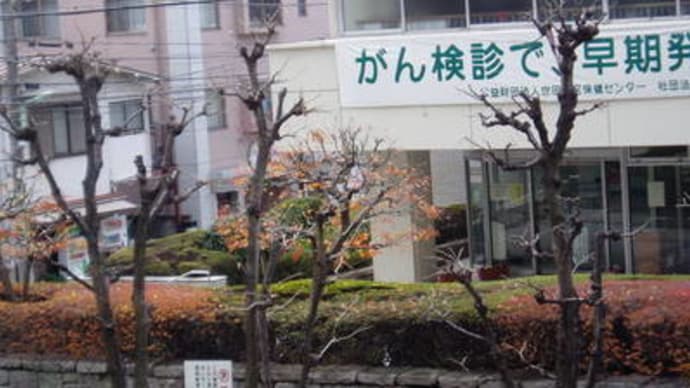 曇りのり晴れ