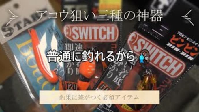 アコウ狙うならコレじゃね👏STARTアコラバ&ビンビンSwitch実釣🎣コスパもサイズも満足