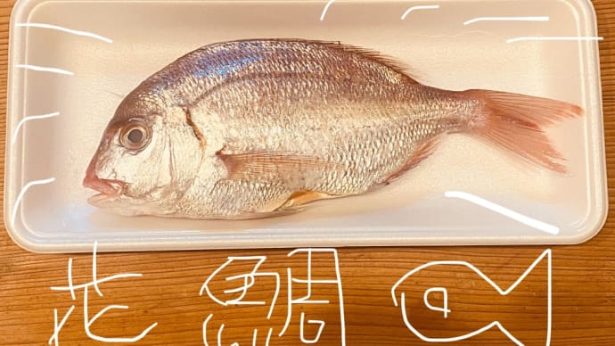 JAXA ISAS XRISMから見た光速の20〜30%(時速約2億〜3億km)というとてつもない速度の風の動き 飛び魚の鯛の鯛 花鯛の 鯛の鯛 5月後半 太陽フレア 宇宙天気ほ落ち着いたか