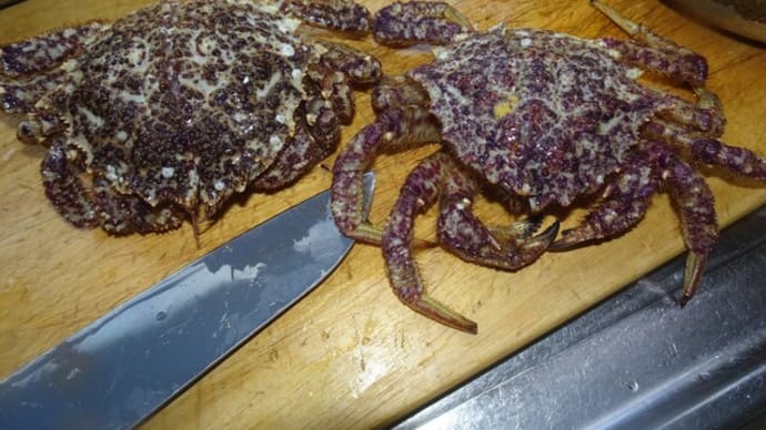 泣く子も黙るカニ料理