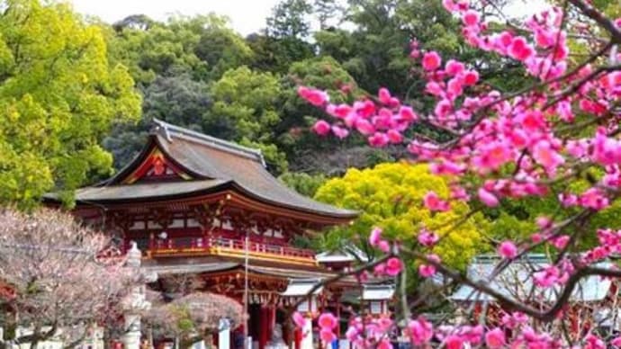 博多の街は よかところ 回顧
