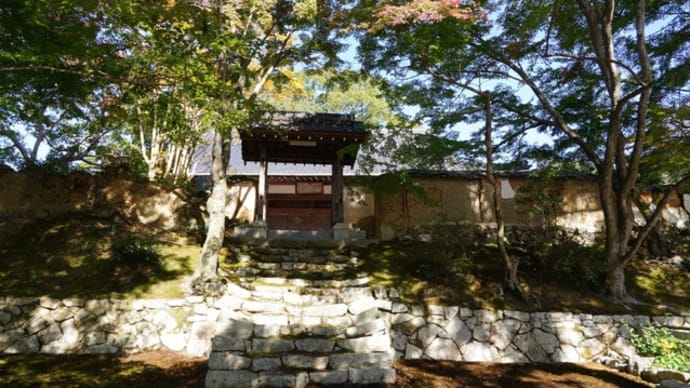 乗福寺紅葉だより