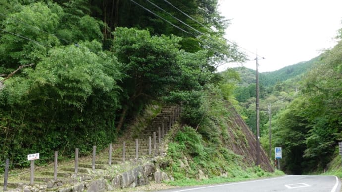 軽量化八木で慌ただしい移動運用