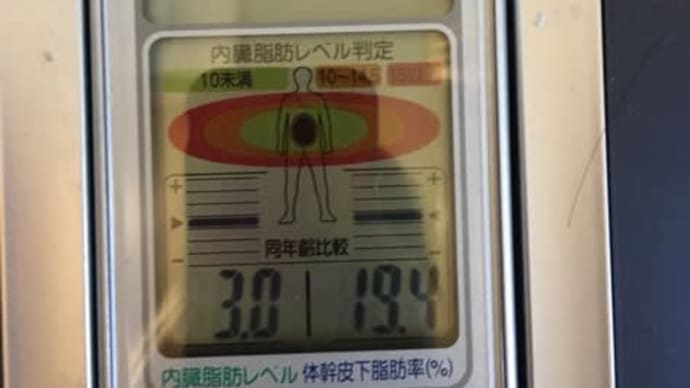 10日目