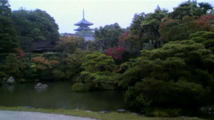 京都の続きです♪