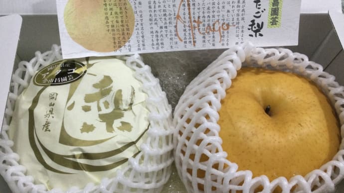 珍しい頂き物「あたご梨」