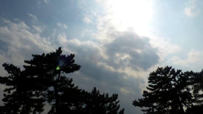 今日も猛暑の日が続き…多摩川夏景色シリーズ