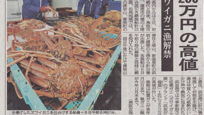 冬の味覚「ズワイガニ漁」解禁、兵庫県の初水揚げで２５０万円の高値