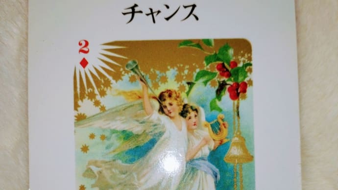 天使のメッセージ
ANGEL  CARD
