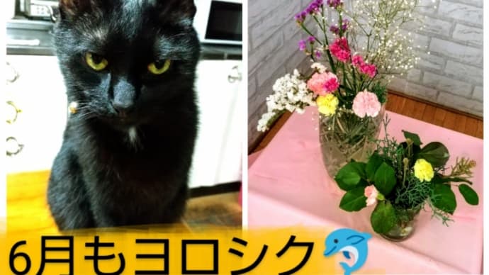 わびがらし完成! 月曜日クラス(5月後半) ①