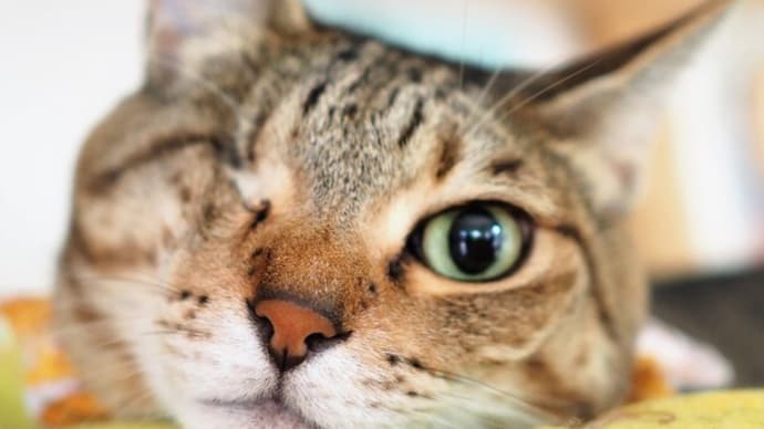 林檎も私も　軽～くショックです（笑）