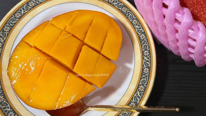 【宮崎県】高級国産マンゴー「太陽のタマゴ」を食べる♪