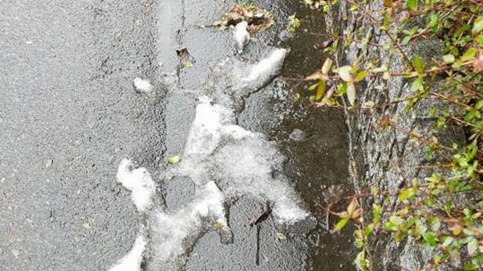 風前の灯火