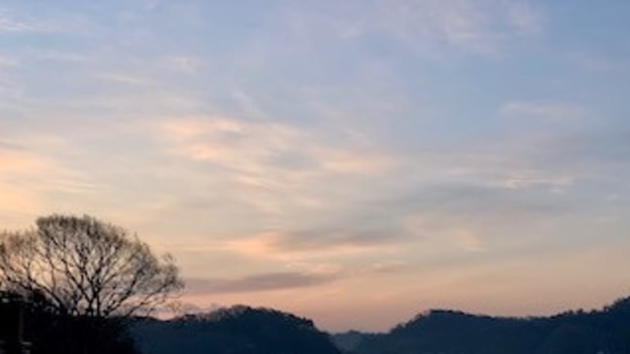 女性のことをあれこれいう人は女性とは何かがわかっているのだろうか。私はわからない。(下)