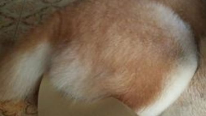壊れそう・・・