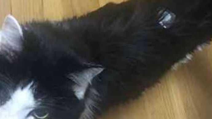 どこに何を貼ろうかなぁ・・・