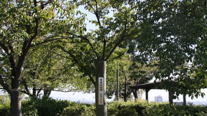 低山散歩 昭和山