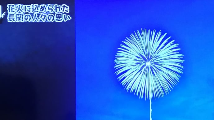 長岡でブラタモリ〈英訳付〉