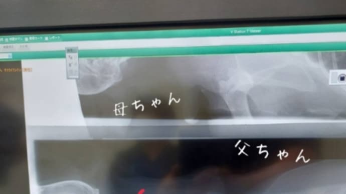 てんてん、首でした。