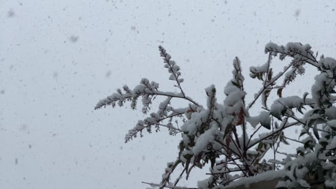 雪の日の郵便配達