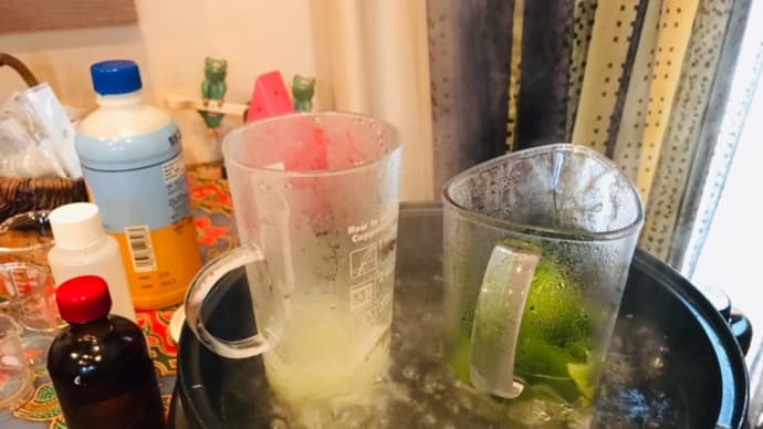 朝からグツグツ☆アロエクラフト&トリートメント