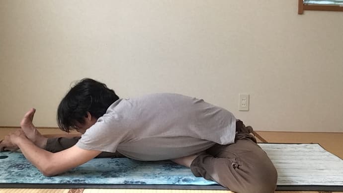 ジャーヌシルシャーアーサナ